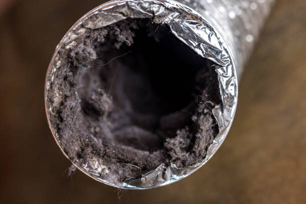 Best HVAC Air Duct Cleaning  in Romulus, MI