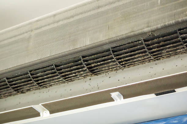 Best Affordable Air Duct Cleaning  in Romulus, MI