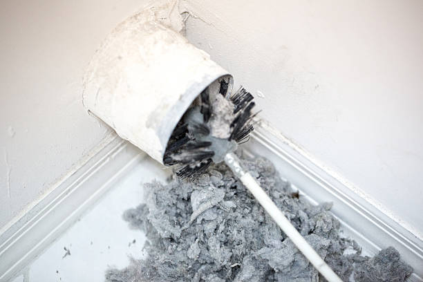 Best Air Duct Mold Removal  in Romulus, MI